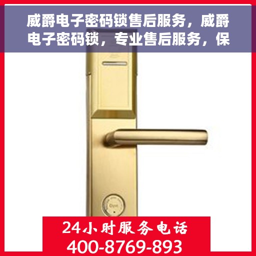 威爵电子密码锁售后服务，威爵电子密码锁，专业售后服务，保障您的安全无忧