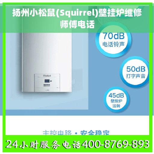 扬州小松鼠(Squirrel)壁挂炉维修师傅电话