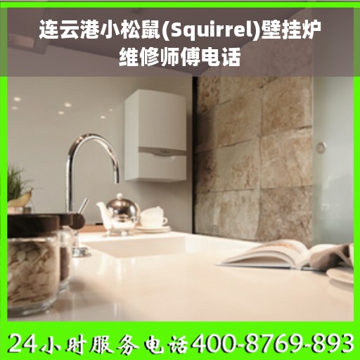 连云港小松鼠(Squirrel)壁挂炉维修师傅电话