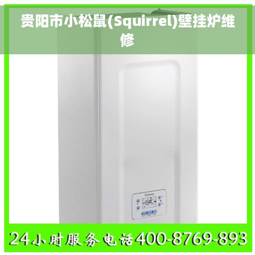 贵阳市小松鼠(Squirrel)壁挂炉维修