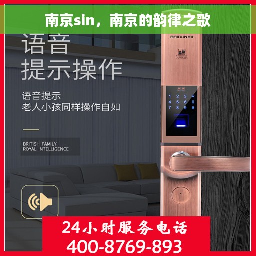 南京sin，南京的韵律之歌