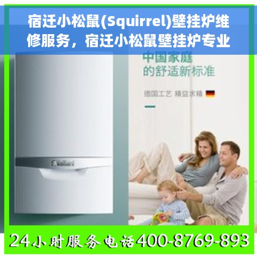宿迁小松鼠(Squirrel)壁挂炉维修服务，宿迁小松鼠壁挂炉专业维修服务团队