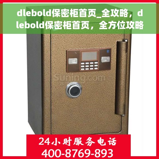 dlebold保密柜首页_全攻略，dlebold保密柜首页，全方位攻略与使用指南