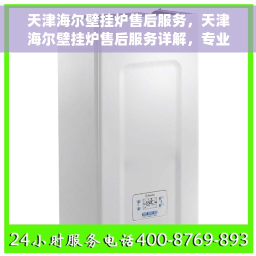 天津海尔壁挂炉售后服务，天津海尔壁挂炉售后服务详解，专业团队，贴心服务
