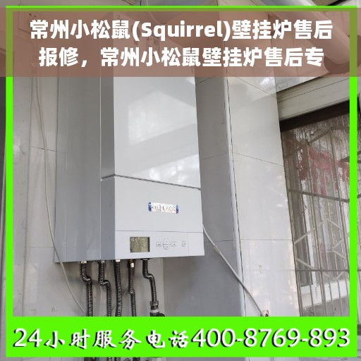 常州小松鼠(Squirrel)壁挂炉售后报修，常州小松鼠壁挂炉售后专业报修服务