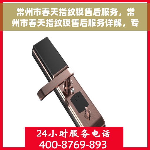常州市春天指纹锁售后服务，常州市春天指纹锁售后服务详解，专业团队，贴心服务保障您的居家安全