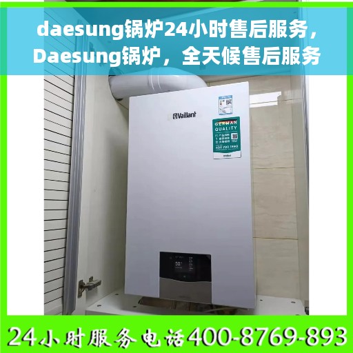 daesung锅炉24小时售后服务，Daesung锅炉，全天候售后服务保障，贴心无忧维护您的温暖之选