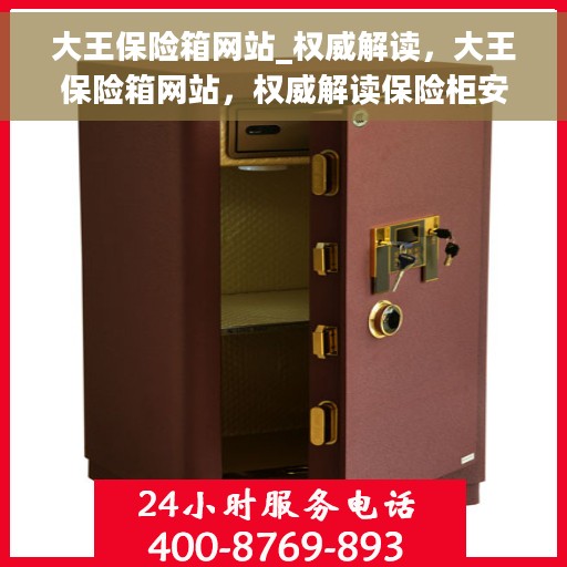 大王保险箱网站_权威解读，大王保险箱网站，权威解读保险柜安全之道