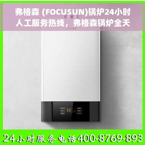 弗格森 (FOCUSUN)锅炉24小时人工服务热线，弗格森锅炉全天候人工服务热线，专业解答，温暖守护您的生活
