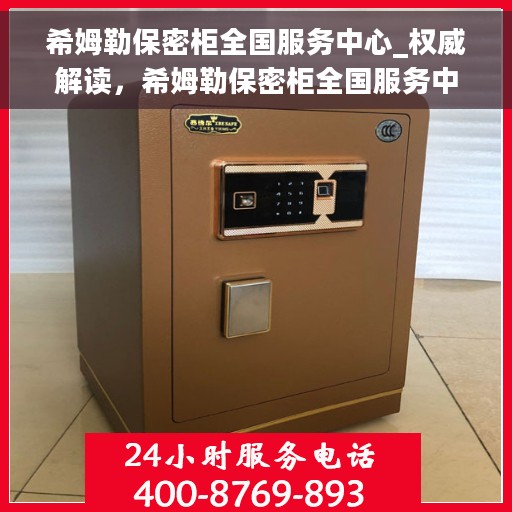 希姆勒保密柜全国服务中心_权威解读，希姆勒保密柜全国服务中心，权威解读与一站式服务体验