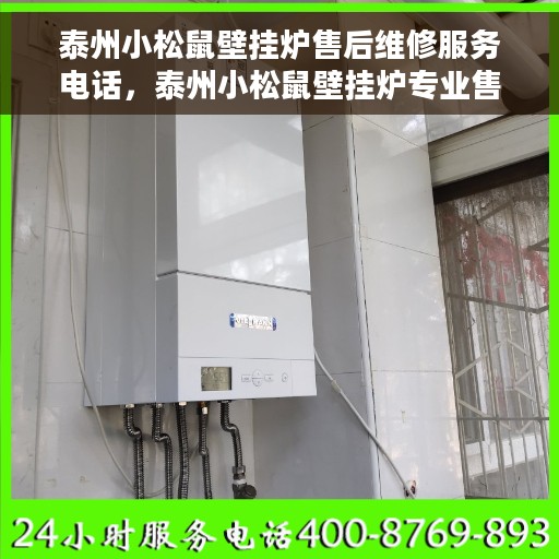泰州小松鼠壁挂炉售后维修服务电话，泰州小松鼠壁挂炉专业售后维修服务热线