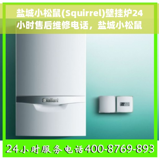 盐城小松鼠(Squirrel)壁挂炉24小时售后维修电话，盐城小松鼠壁挂炉全天候专业售后维修电话及快速响应服务指南