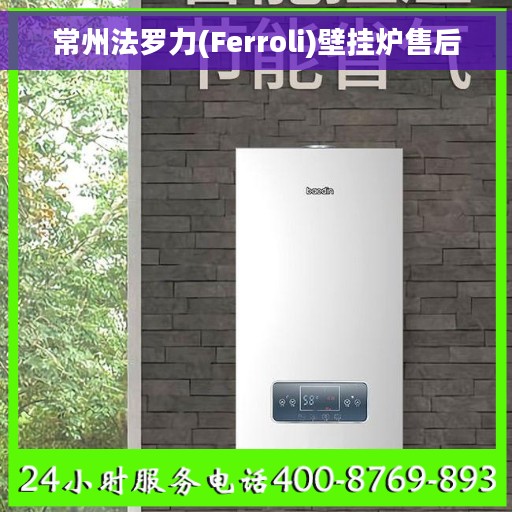 常州法罗力(Ferroli)壁挂炉售后