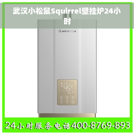 武汉小松鼠Squirrel壁挂炉24小时