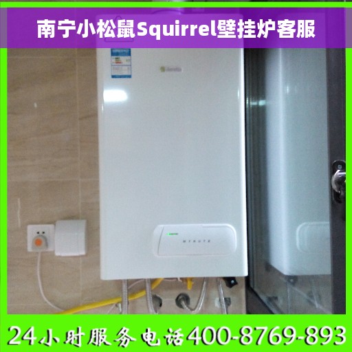 南宁小松鼠Squirrel壁挂炉客服