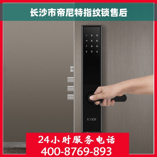 长沙市帝尼特指纹锁售后