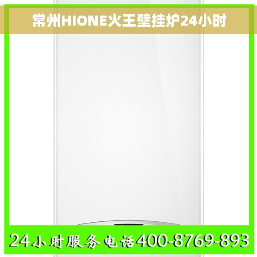 常州HIONE火王壁挂炉24小时