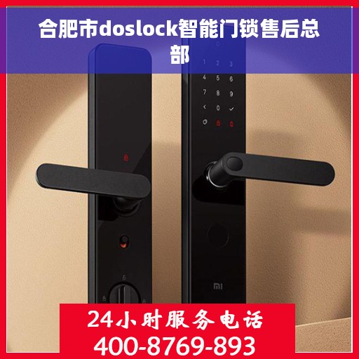 合肥市doslock智能门锁售后总部