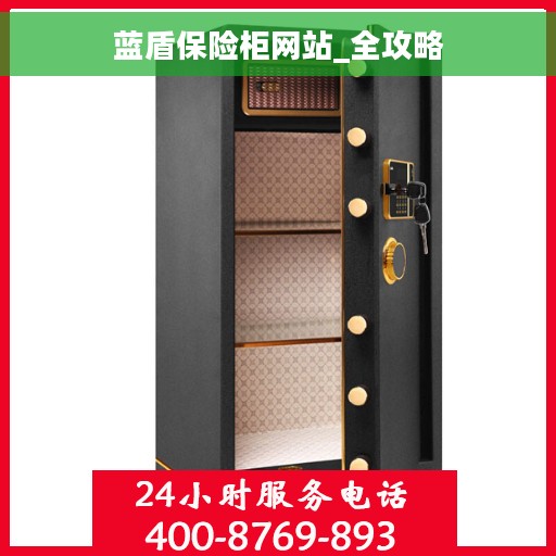 蓝盾保险柜网站_全攻略