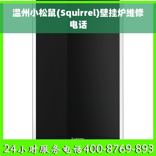温州小松鼠(Squirrel)壁挂炉维修电话