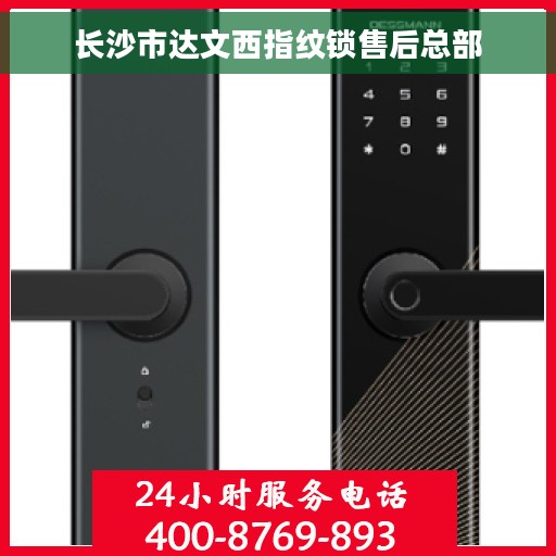 长沙市达文西指纹锁售后总部