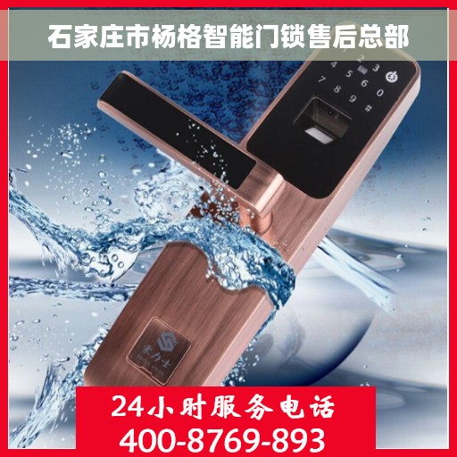 石家庄市杨格智能门锁售后总部