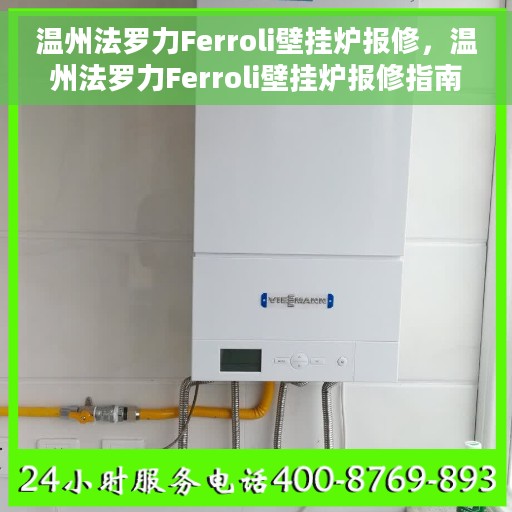 温州法罗力Ferroli壁挂炉报修，温州法罗力Ferroli壁挂炉报修指南与解决方案