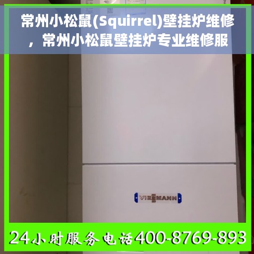 常州小松鼠(Squirrel)壁挂炉维修，常州小松鼠壁挂炉专业维修服务