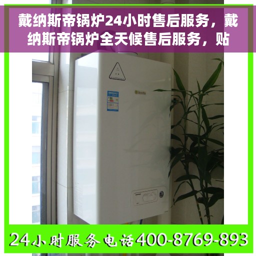 戴纳斯帝锅炉24小时售后服务，戴纳斯帝锅炉全天候售后服务，贴心无忧保障！