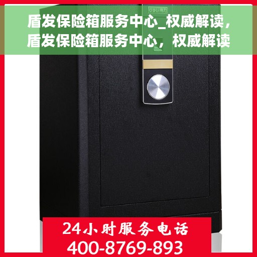 盾发保险箱服务中心_权威解读，盾发保险箱服务中心，权威解读与全方位服务保障