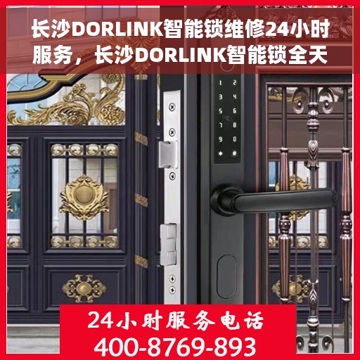 长沙DORLINK智能锁维修24小时服务，长沙DORLINK智能锁全天候维修服务保障