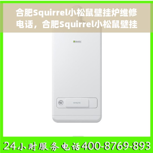合肥Squirrel小松鼠壁挂炉维修电话，合肥Squirrel小松鼠壁挂炉专业维修服务热线
