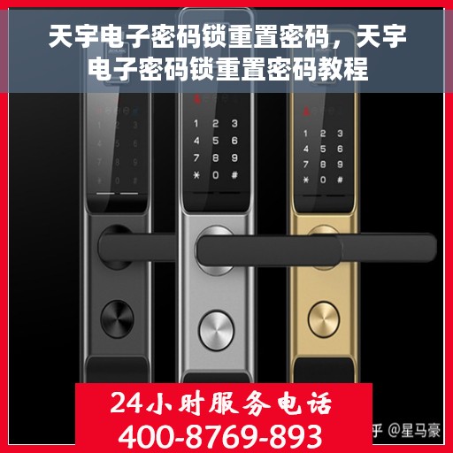 天宇电子密码锁重置密码，天宇电子密码锁重置密码教程