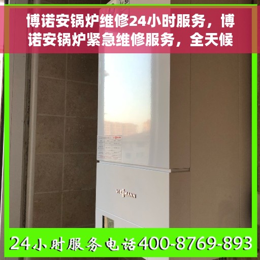 博诺安锅炉维修24小时服务，博诺安锅炉紧急维修服务，全天候响应，保障运行无忧