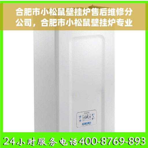 合肥市小松鼠壁挂炉售后维修分公司，合肥市小松鼠壁挂炉专业售后维修服务分公司