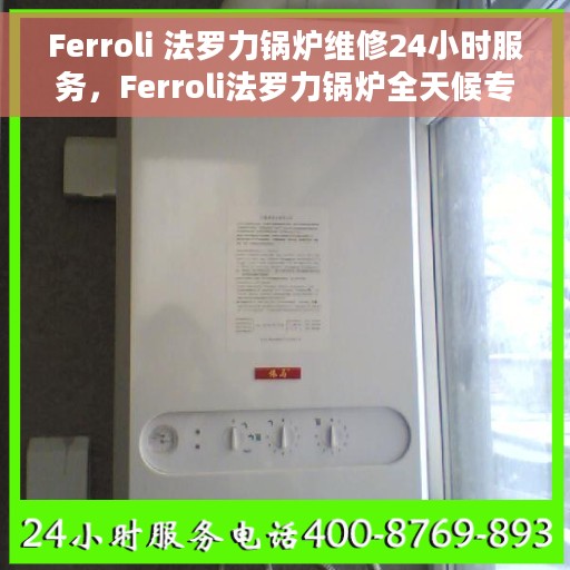 Ferroli 法罗力锅炉维修24小时服务，Ferroli法罗力锅炉全天候专业维修服务
