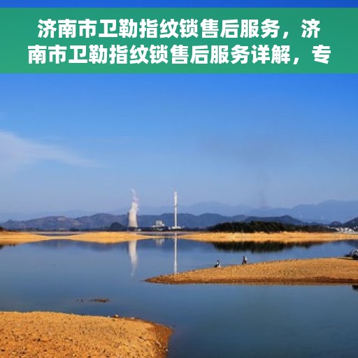 济南市卫勒指纹锁售后服务，济南市卫勒指纹锁售后服务详解，专业团队，贴心服务保障您的安全锁事无忧