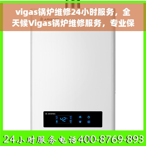 vigas锅炉维修24小时服务，全天候Vigas锅炉维修服务，专业保障运行无忧