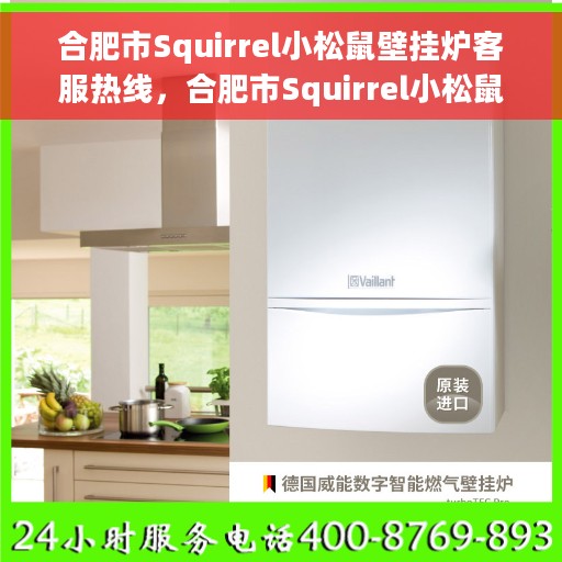 合肥市Squirrel小松鼠壁挂炉客服热线，合肥市Squirrel小松鼠壁挂炉客户服务热线，专业解答，温暖您的家。