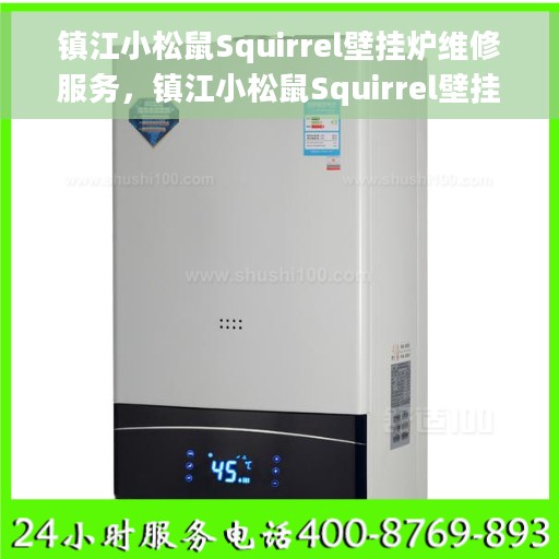 镇江小松鼠Squirrel壁挂炉维修服务，镇江小松鼠Squirrel壁挂炉专业维修服务团队