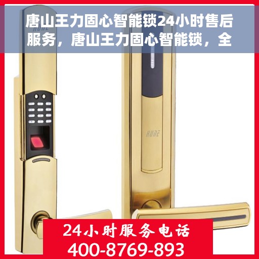 唐山王力固心智能锁24小时售后服务，唐山王力固心智能锁，全天候售后无忧服务