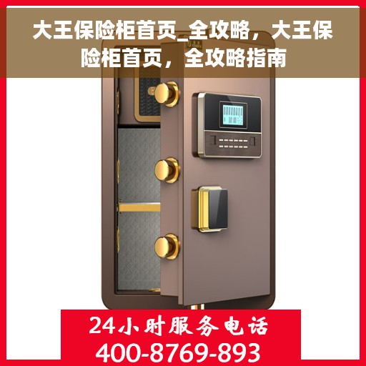 大王保险柜首页_全攻略，大王保险柜首页，全攻略指南