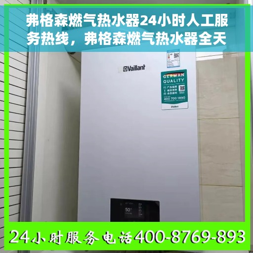 弗格森燃气热水器24小时人工服务热线，弗格森燃气热水器全天候人工服务热线支持，贴心关怀您的生活