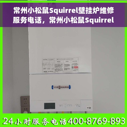 常州小松鼠Squirrel壁挂炉维修服务电话，常州小松鼠Squirrel壁挂炉专业维修服务热线