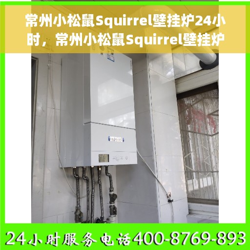 常州小松鼠Squirrel壁挂炉24小时，常州小松鼠Squirrel壁挂炉全天候温暖守护