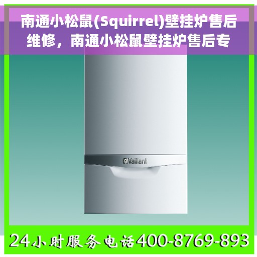南通小松鼠(Squirrel)壁挂炉售后维修，南通小松鼠壁挂炉售后专业维修服务
