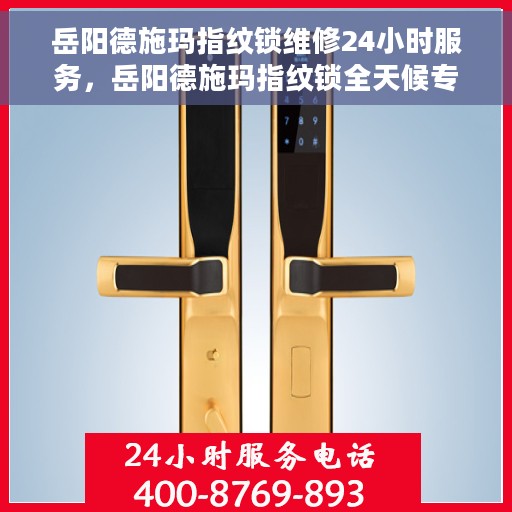 岳阳德施玛指纹锁维修24小时服务，岳阳德施玛指纹锁全天候专业维修服务