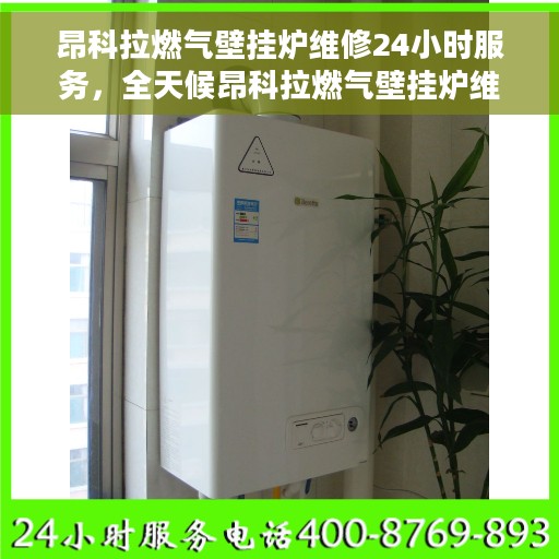 昂科拉燃气壁挂炉维修24小时服务，全天候昂科拉燃气壁挂炉维修服务，贴心呵护您的温暖生活