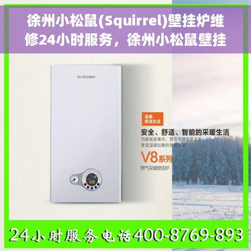 徐州小松鼠(Squirrel)壁挂炉维修24小时服务，徐州小松鼠壁挂炉专业维修服务全天候响应，贴心保障您的温暖生活