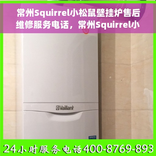 常州Squirrel小松鼠壁挂炉售后维修服务电话，常州Squirrel小松鼠壁挂炉专业售后维修服务热线